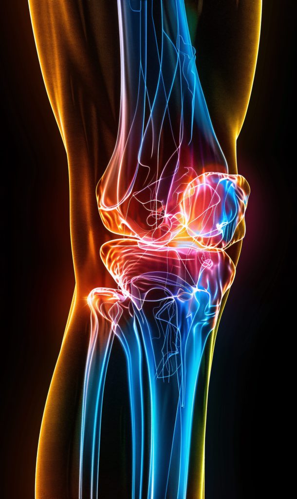 acl-injury-proven-ways-physiotherapy-help2